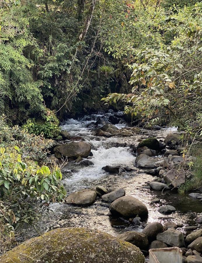 Arte De Plumas Birding Lodge Cartago Esterno foto